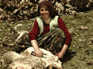 Preparing the wool locally